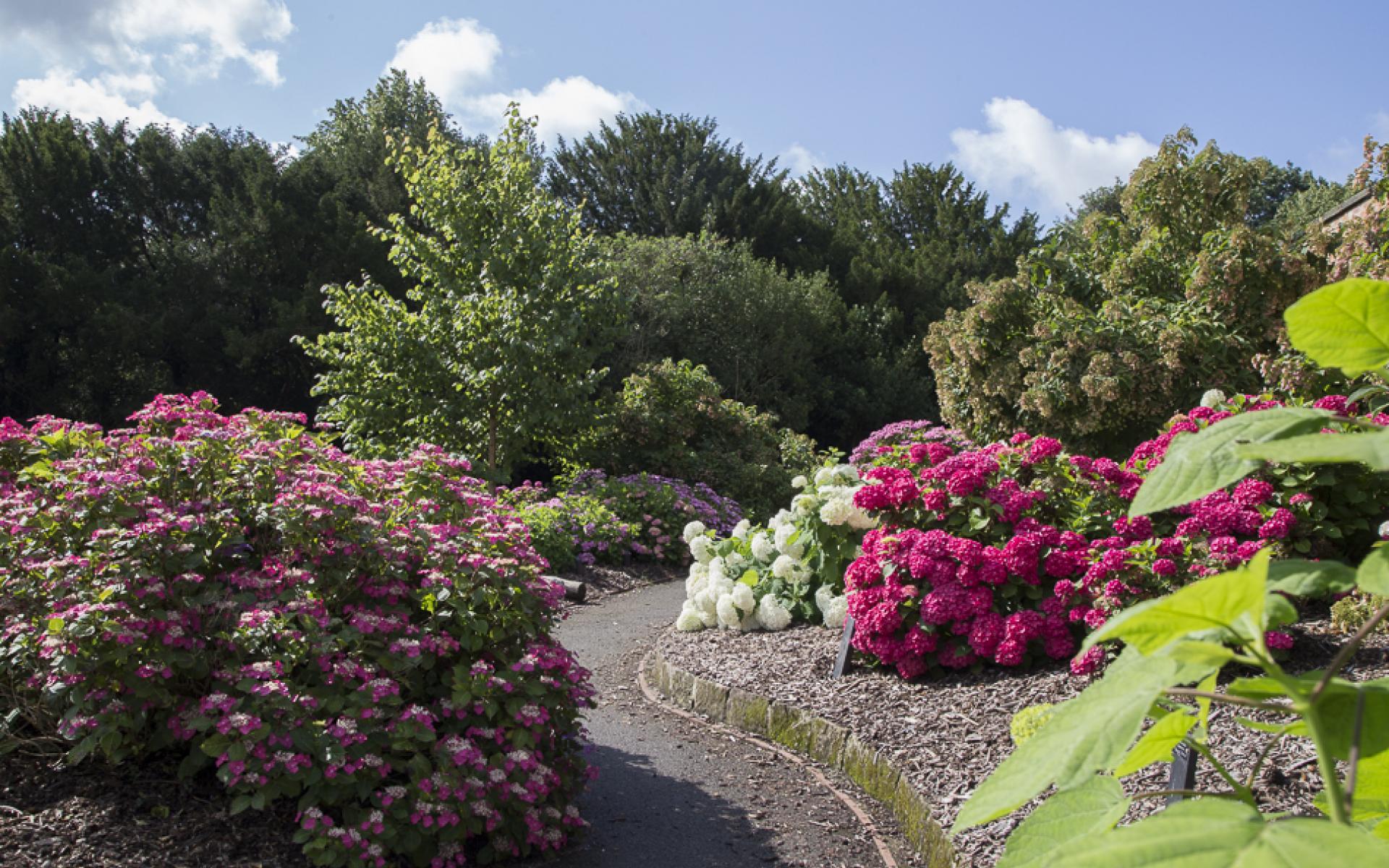 Walking Group and Coffee Morning