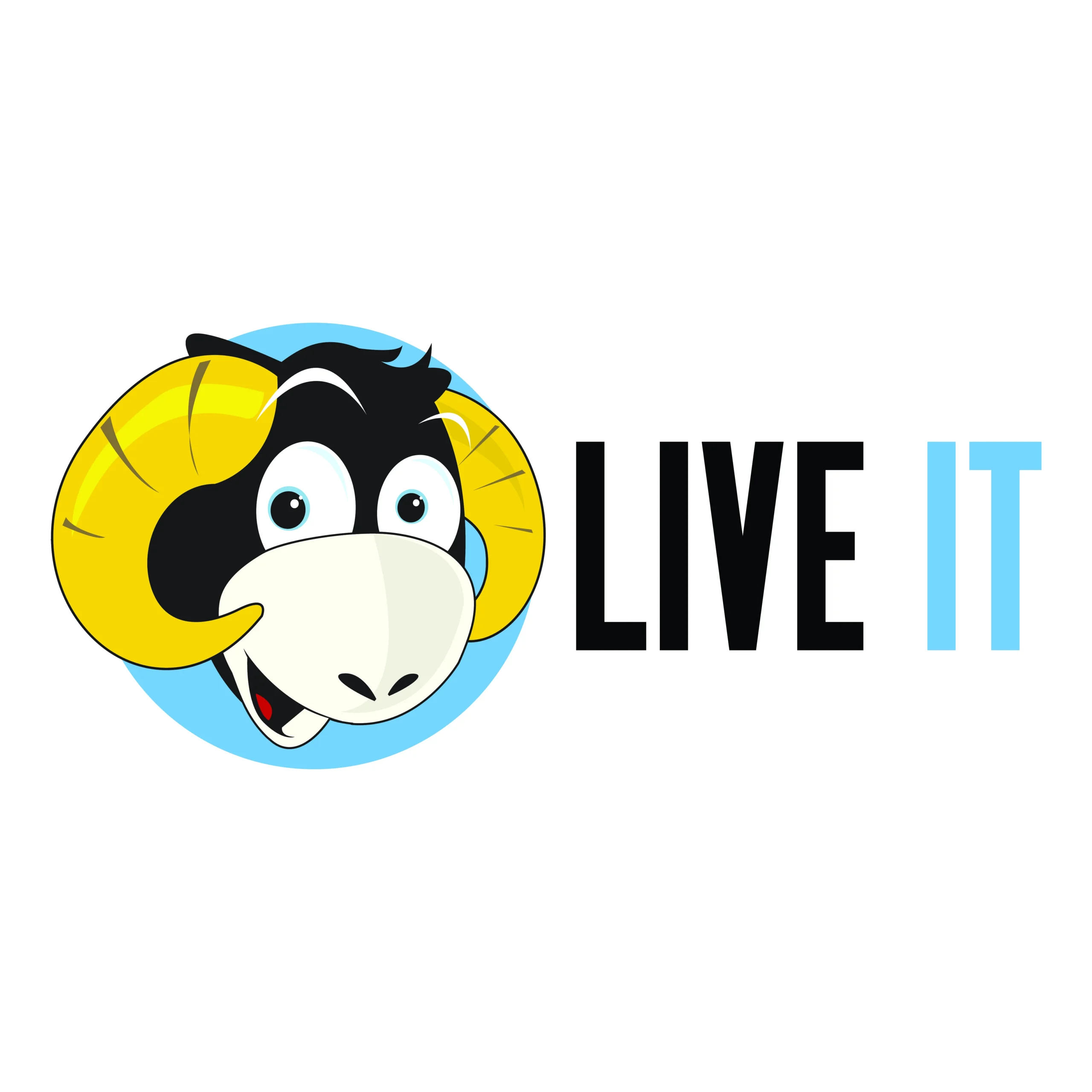Live It - Badminton